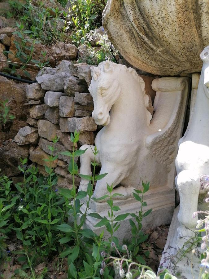 Entre Ciel Et Terre Villa Besse-sur-Issole Екстериор снимка